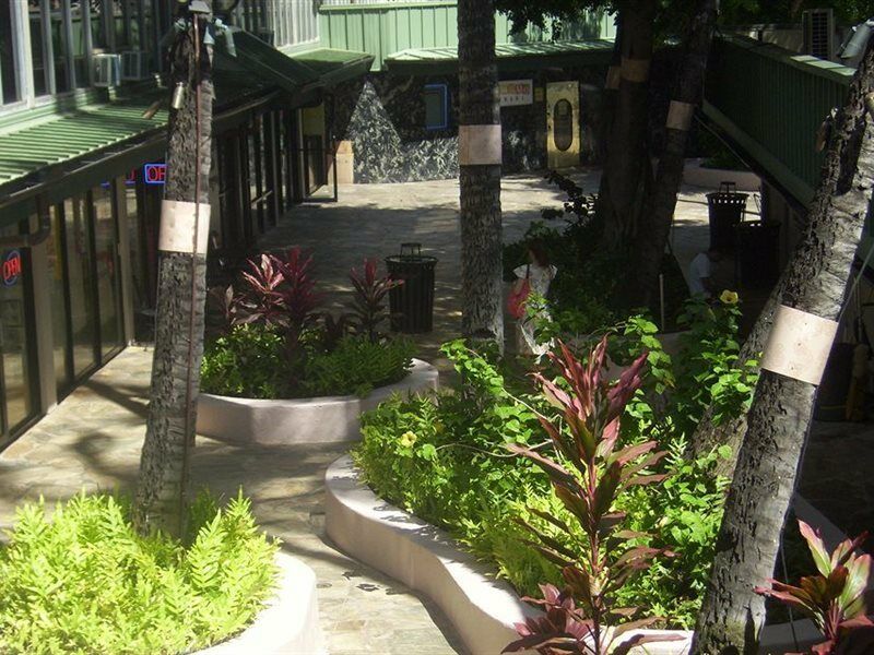 Kuhio Banyan Hotel Хонолулу Екстериор снимка